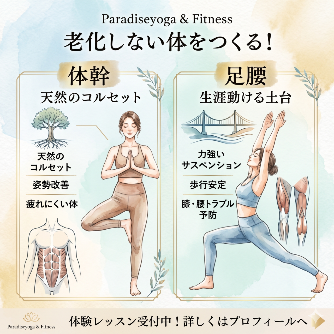 老化を食い止め、健康維持と体力向上を